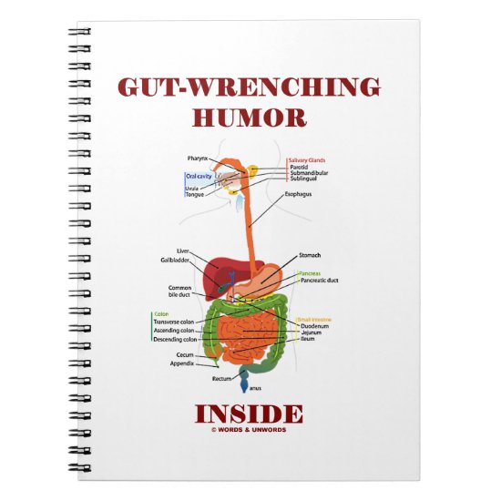 Gut-Wrenching Humor Inside (Digestive System) Notebook