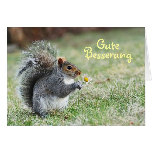 Gute Besserung Cute Squirrel Card