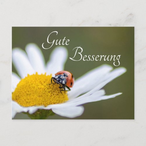 Gute Besserung mit Glcks_Marienkfer Postcard