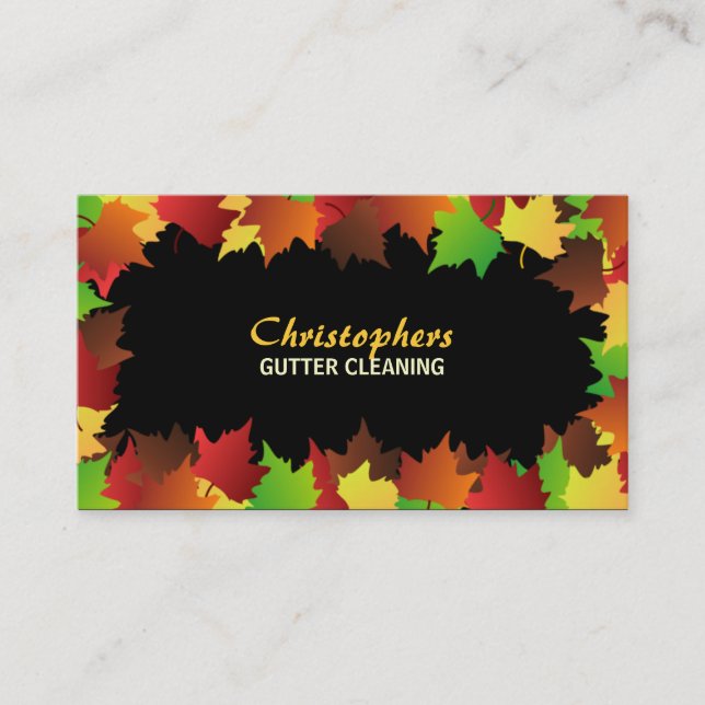Gutter Cleaning Business Cards (Front)