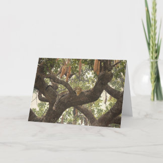 Guy Combes Wildlife Art Greeting Cards