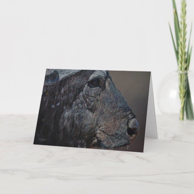 Guy Combes Wildlife Art Greeting Cards (Front)