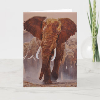 Guy Combes Wildlife Art Greeting Cards