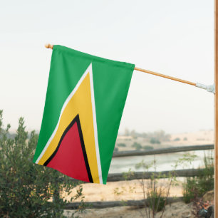 Guyana flag