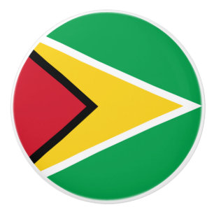 Guyana flag  ceramic knob