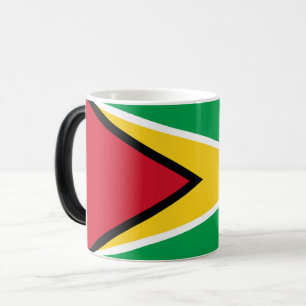 Guyana Flag Color Morph Mug