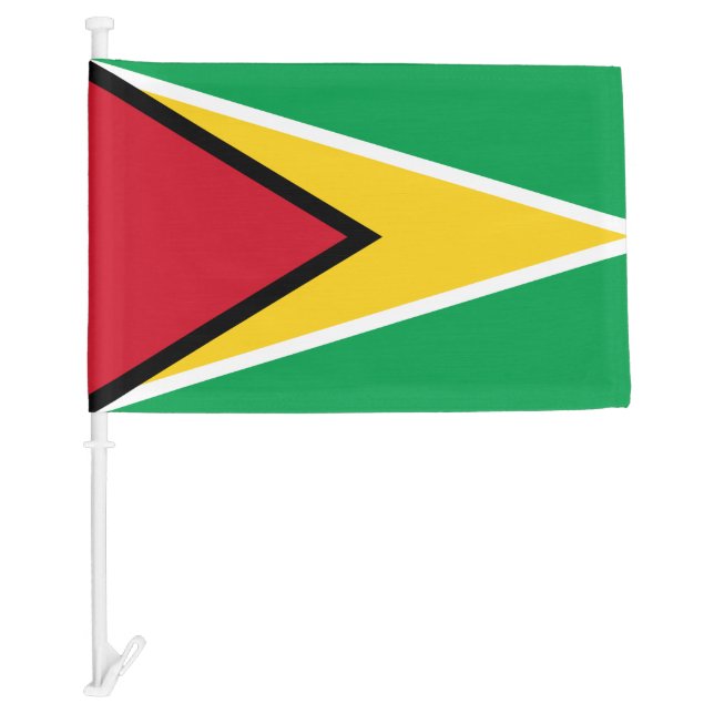 Guyana Flag & Guyana travel, patriots/sport (Front)