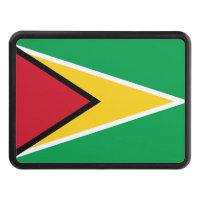 Guyana flag 