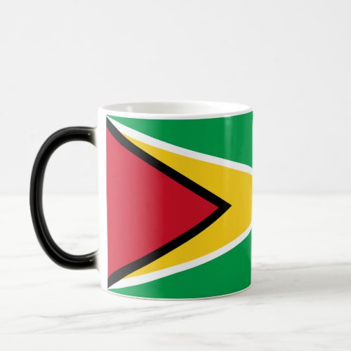 Guyana Flag Magic Mug