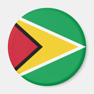 Guyana flag magnet