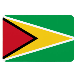 Guyana flag magnet