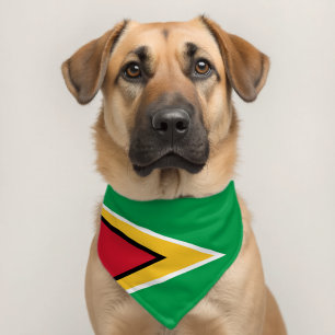 Guyana flag pet bandana collar