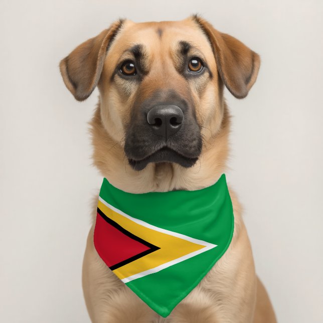 Guyana flag pet bandana collar (Dog 2)