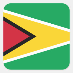 Guyana Flag Square Sticker
