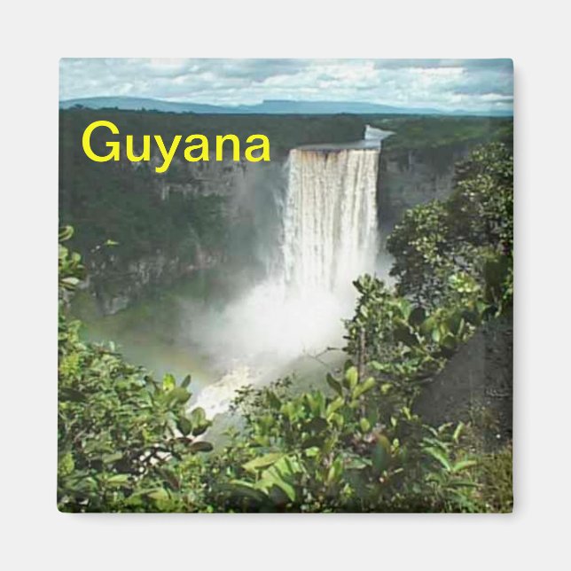 Guyana fridge magnet (Front)