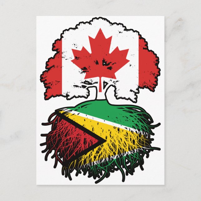 Guyana Guyanese Canadian Canada Tree Roots Flag Postcard (Front)