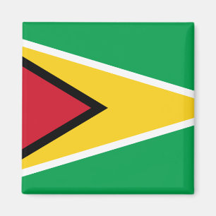 Guyana (Guyanese) Flag Magnet