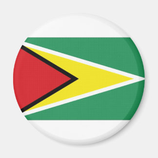 Guyana National Flag Magnet
