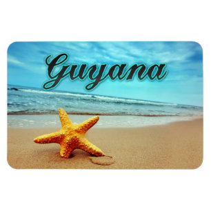Guyana starfish magnet