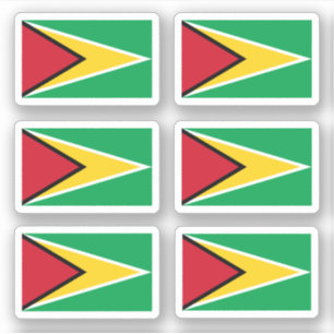 Guyanese flag sticker