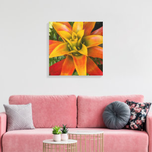 Guzmania Bromeliad Plant Floral Canvas Print
