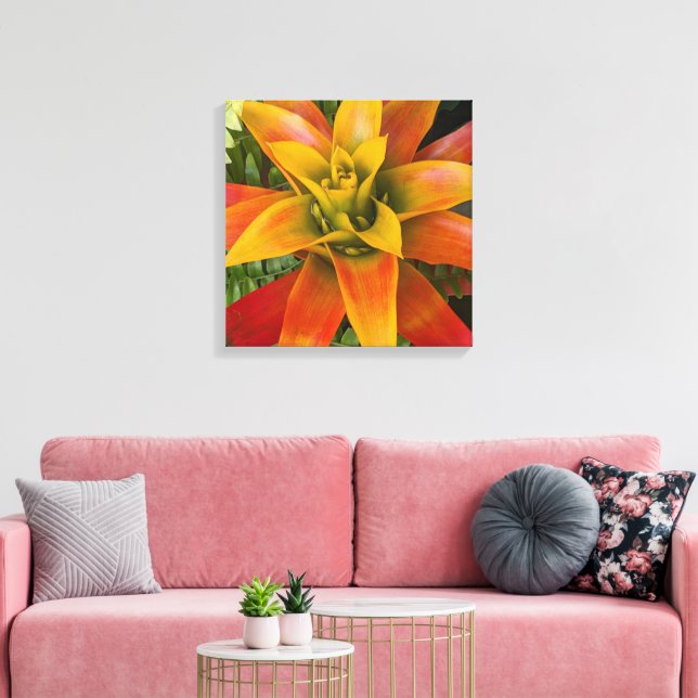 Guzmania Bromeliad Plant Floral Canvas Print (Insitu(LivingRoom))