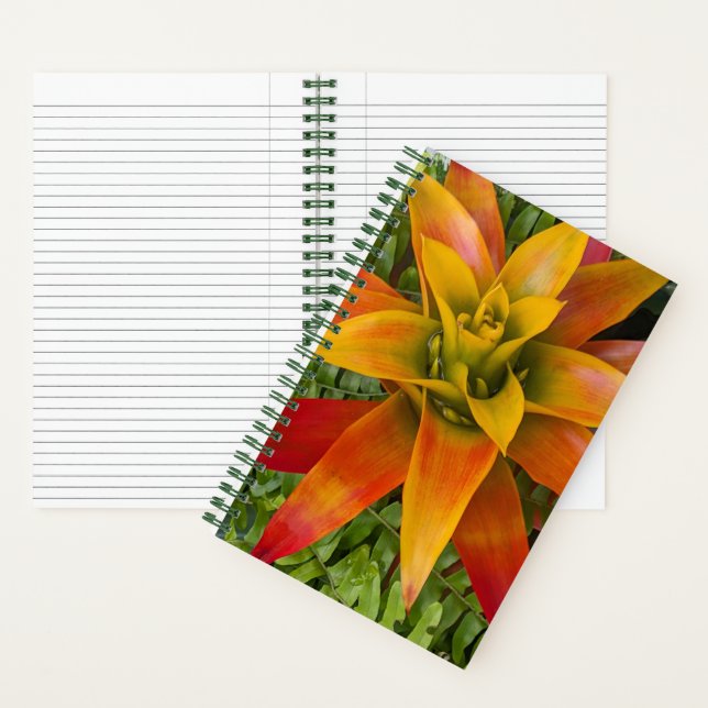 Guzmania Bromeliad Plant Floral Notebook (Inside)