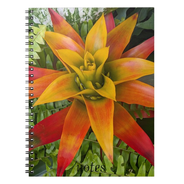 Guzmania Bromeliad Plant Floral Notebook (Front)