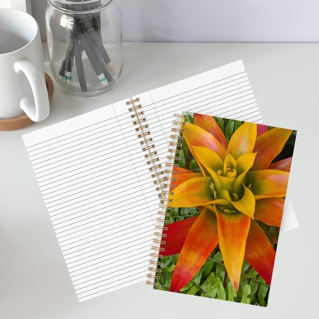 Guzmania Bromeliad Plant Floral Notebook (In Situ)
