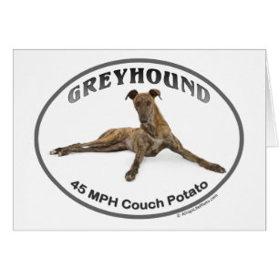 GVV 40MPH Couch Potato Cards