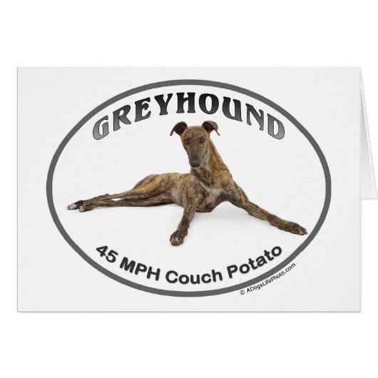 GVV 40MPH Couch Potato Cards (Front Horizontal)