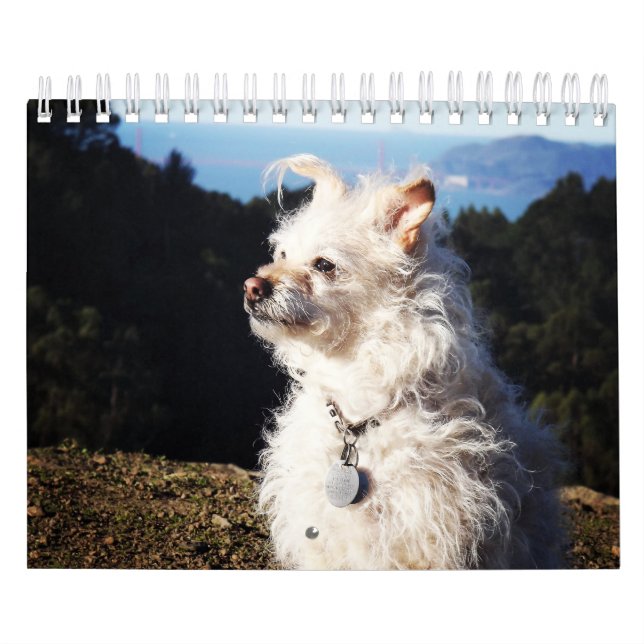 Gwendolyn 2016 Calendar (Cover)