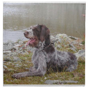 GWP laying Napkin
