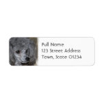 Gy Poodle Mailing Labels