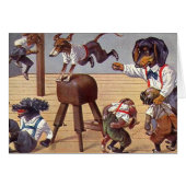 Gym Class for Dogs (Front Horizontal)