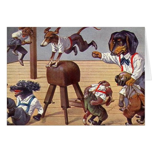Gym Class for Dogs Cards (Front Horizontal)