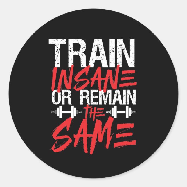Gym Workout Fitness Train Insane Remain The Same Classic Round Sticker (Front)