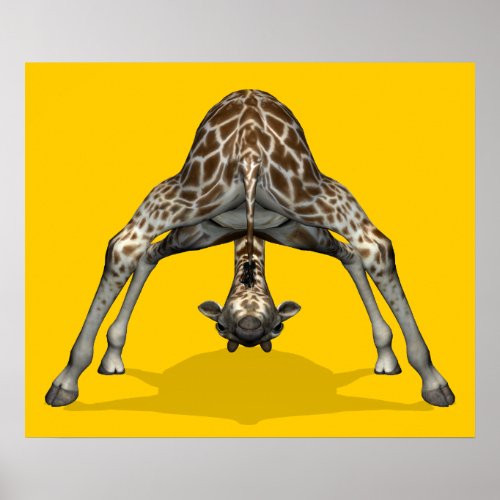 Gymnastic Giraffe Poster