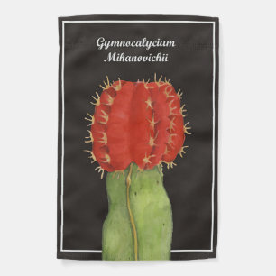 Gymnocalycium Cactus Garden Flag