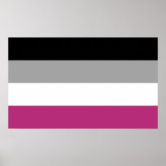 Gynephilia Pride Flag Poster