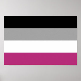 Gynephilia Pride Flag Poster