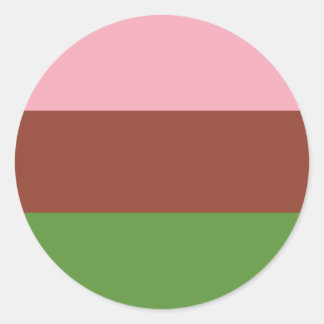 Gynosexual Pride Flag Classic Round Sticker