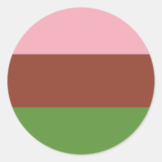Gynosexual Pride Flag Classic Round Sticker