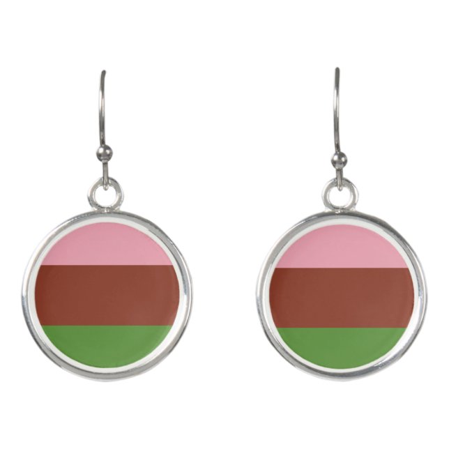 Gynosexual Pride Flag Earrings (Front)