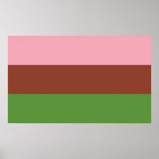 Gynosexual Pride Poster