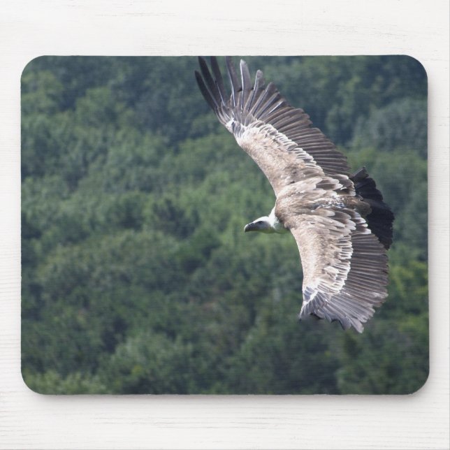 Gyps fulvus flying mouse pad (Front)