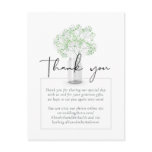 Gypsophila