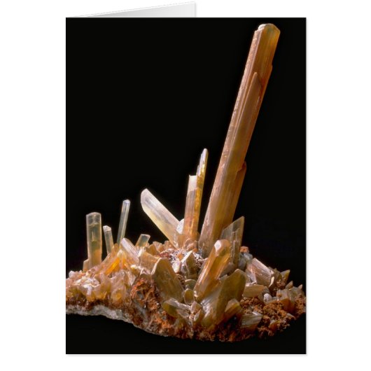 Gypsum Cards (Front)