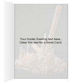 Gypsum Cards (Inside (Right))