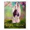 "Gypsy Blassom" Irish Vanner Stallion pinto horse